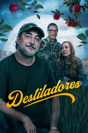 Destiladores 2011 — o que ninguém te contou