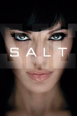 Salt 2010 — Por que todo mundo está assistindo