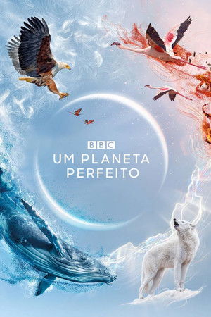 Um Planeta Perfeito 2021 — Por que o mundo está assistindo