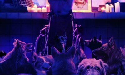 Dogman 2023: Vale a Pena?
