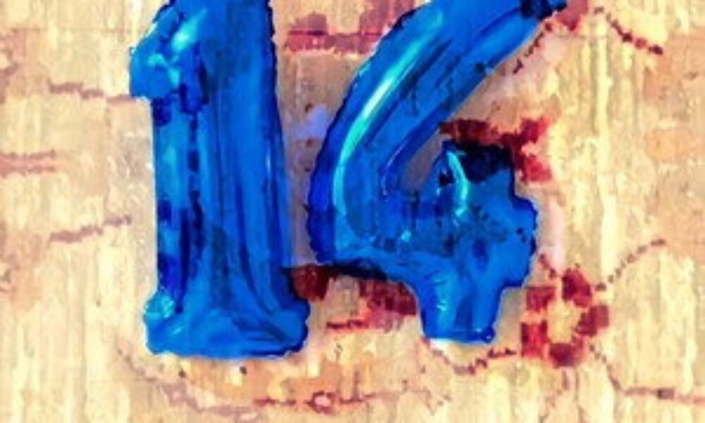 14 (2023) — poster oficial
