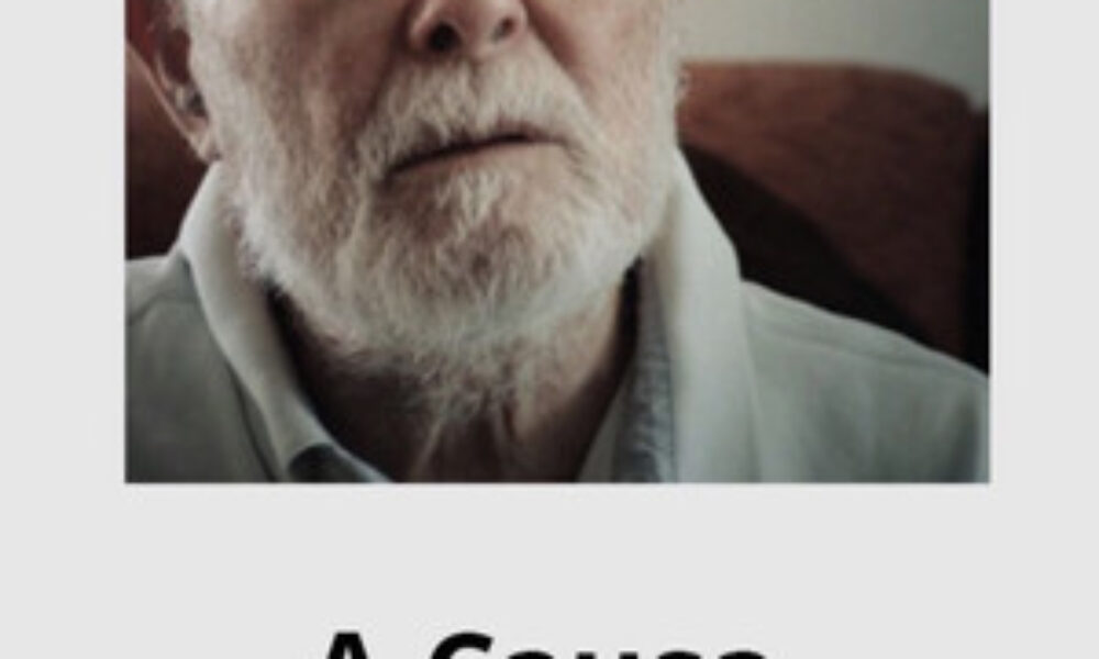 A Causa e a Sombra (2015) — poster oficial