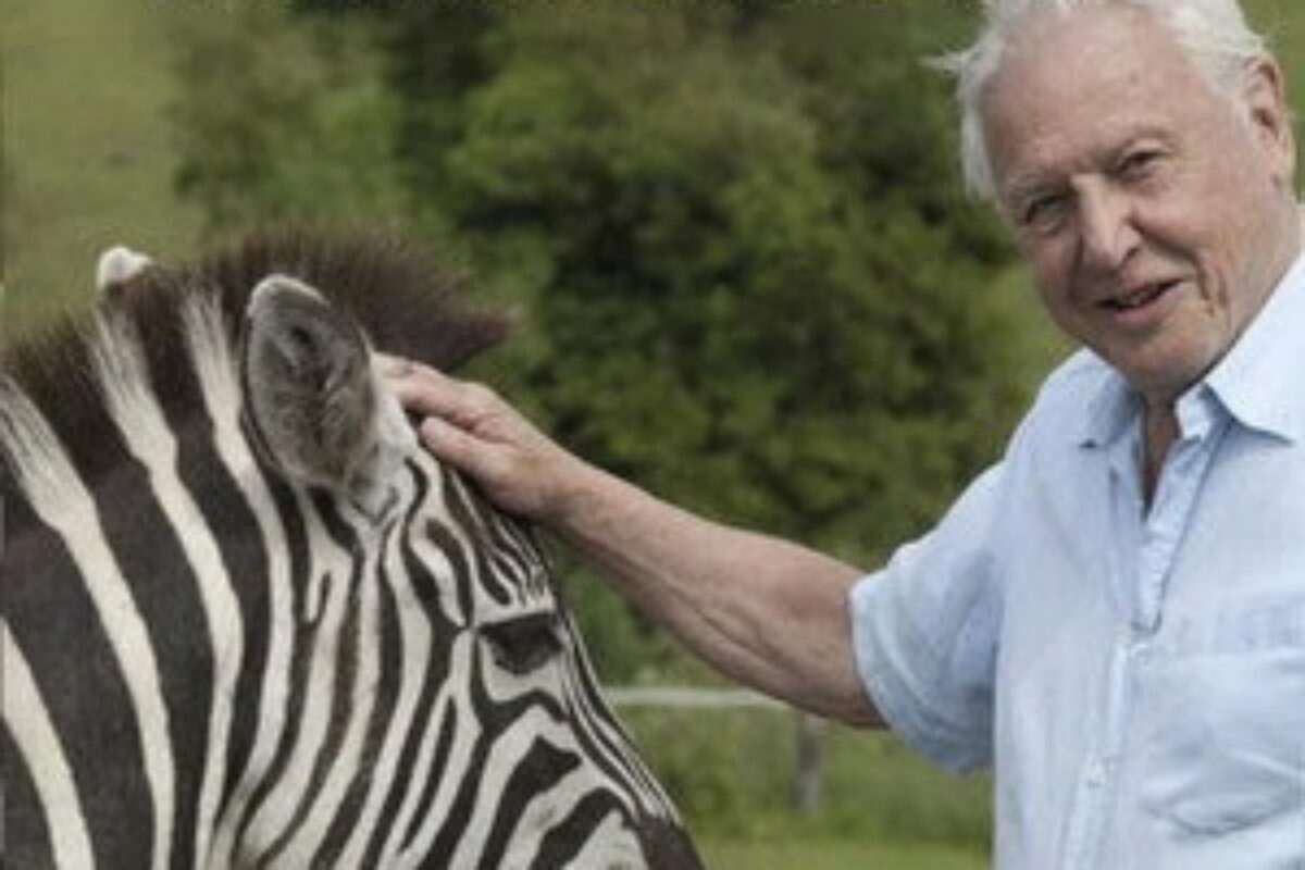 Curiosidades da Natureza com David Attenborough (2013) — poster oficial