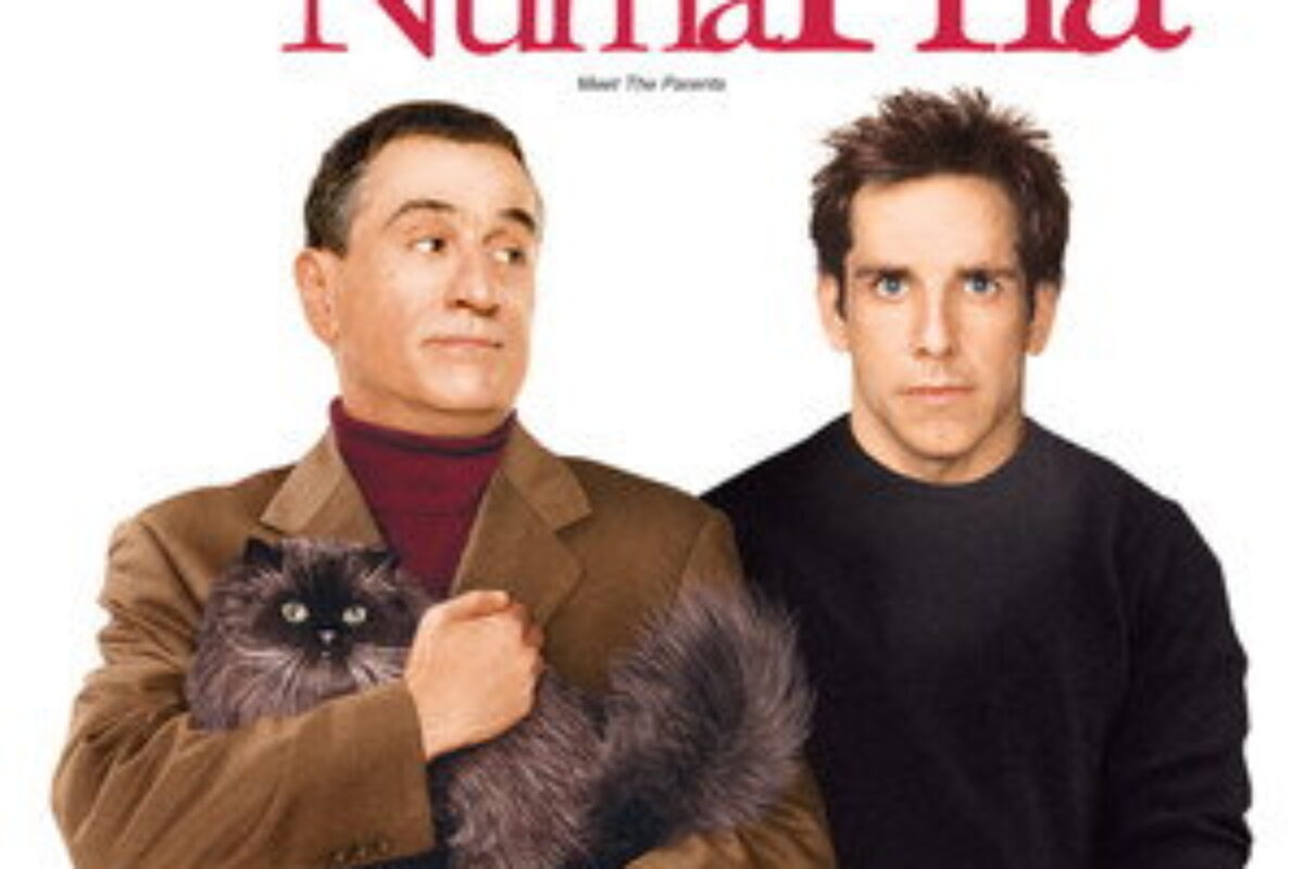 Entrando numa Fria (2000) — poster oficial