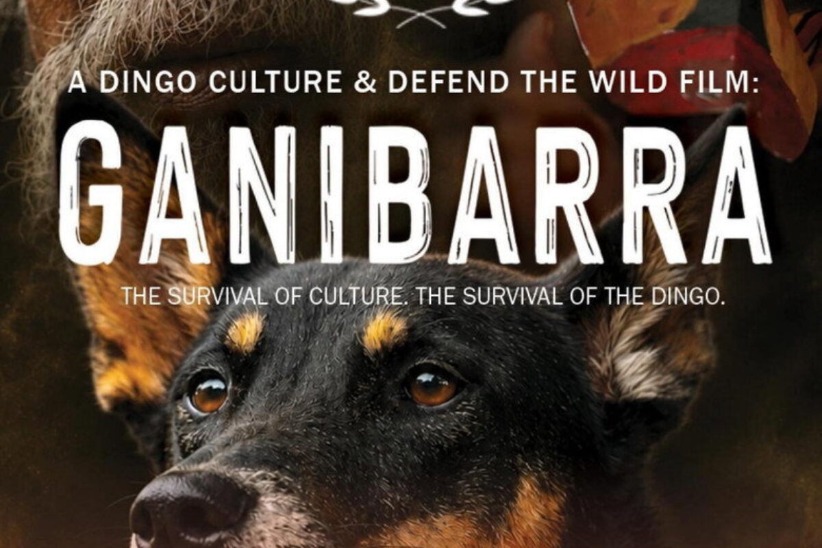 Ganibarra (2026) — poster oficial