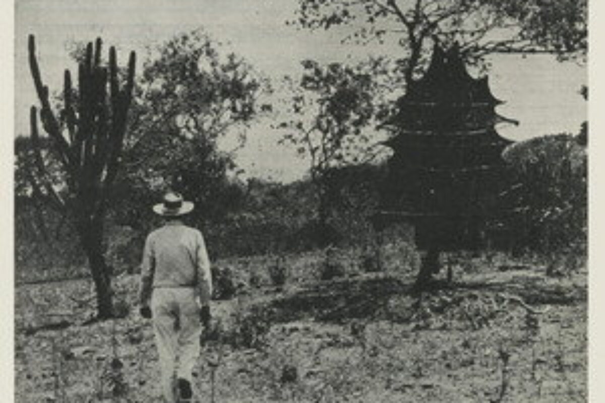 Memória do Cangaço (1964) — poster oficial