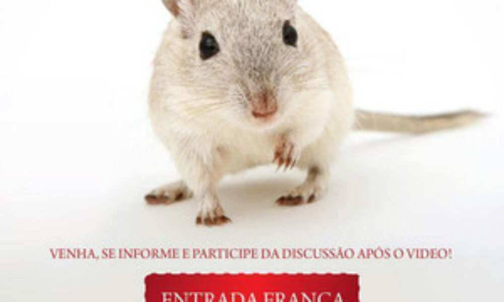 Não Matarás (2006) — poster oficial