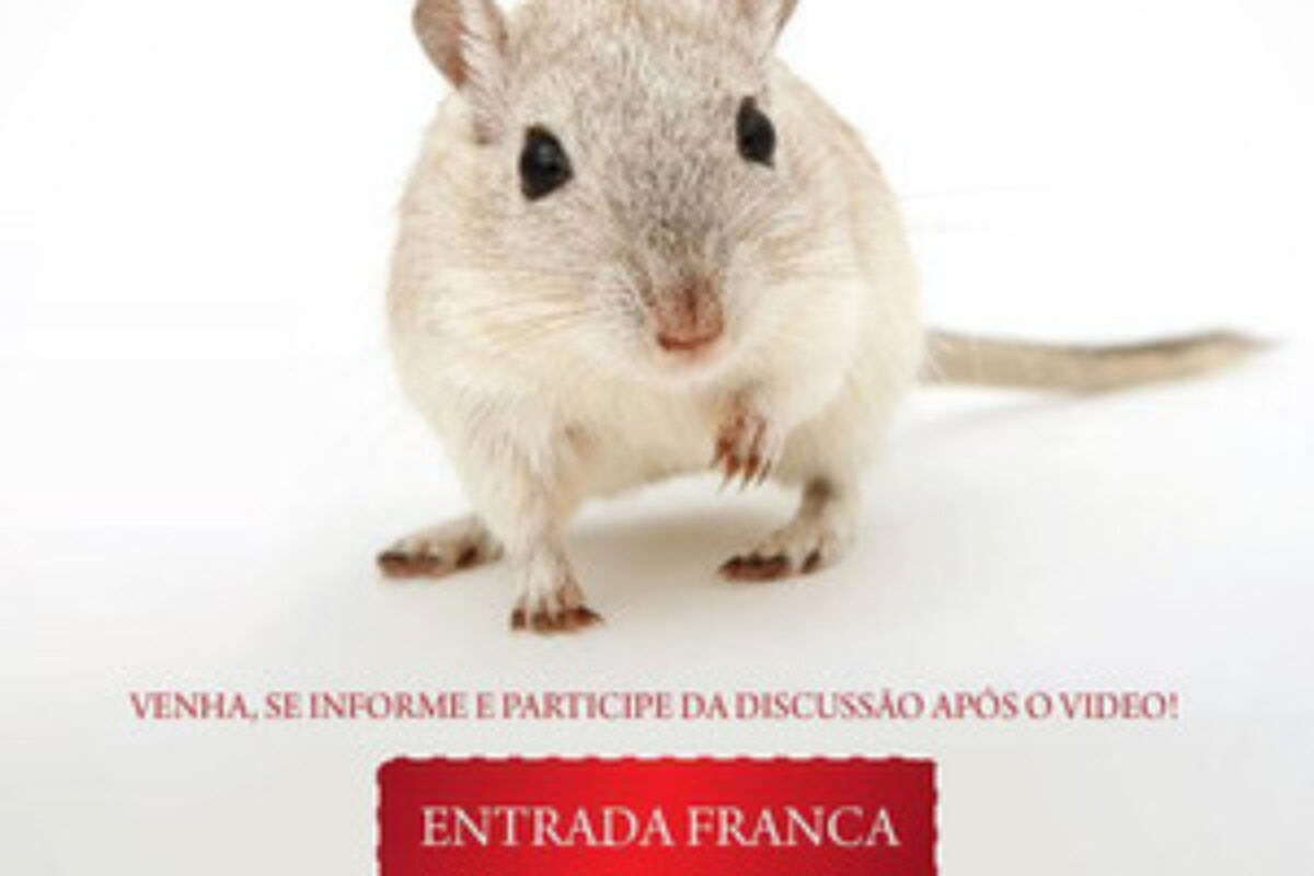 Não Matarás (2006) — poster oficial
