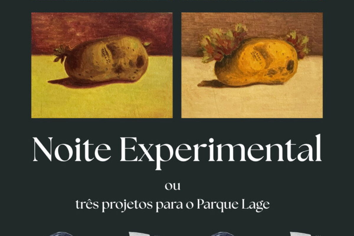Noite Experimental (2026) — poster oficial