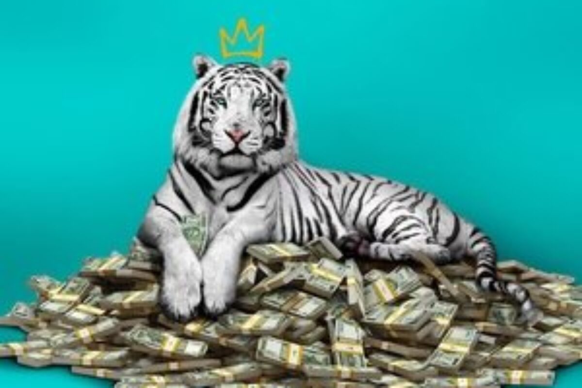 O Tigre Branco (2021) — poster oficial