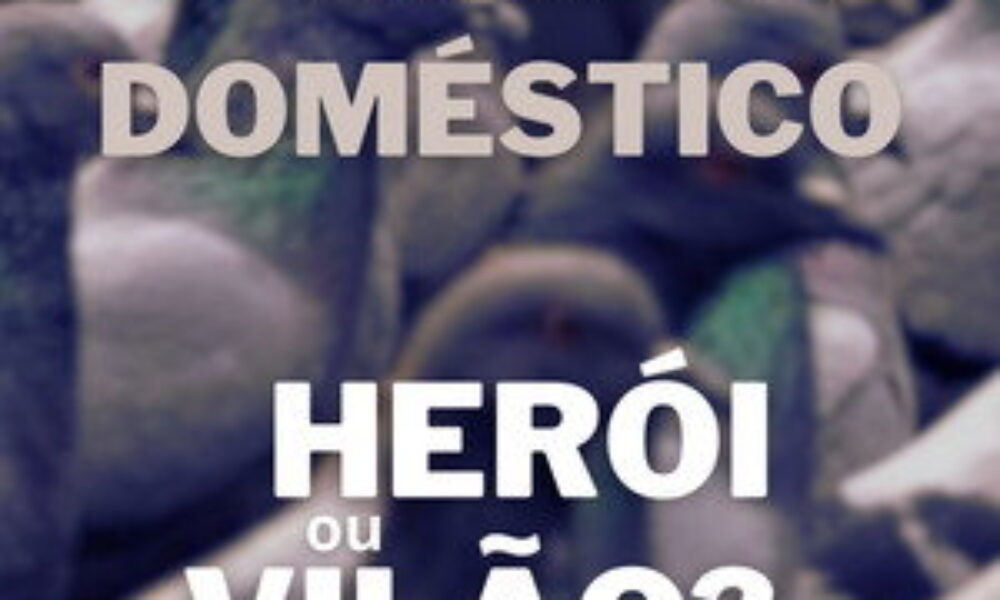 Pombo Doméstico: Herói ou Vilão? (2020) — poster oficial