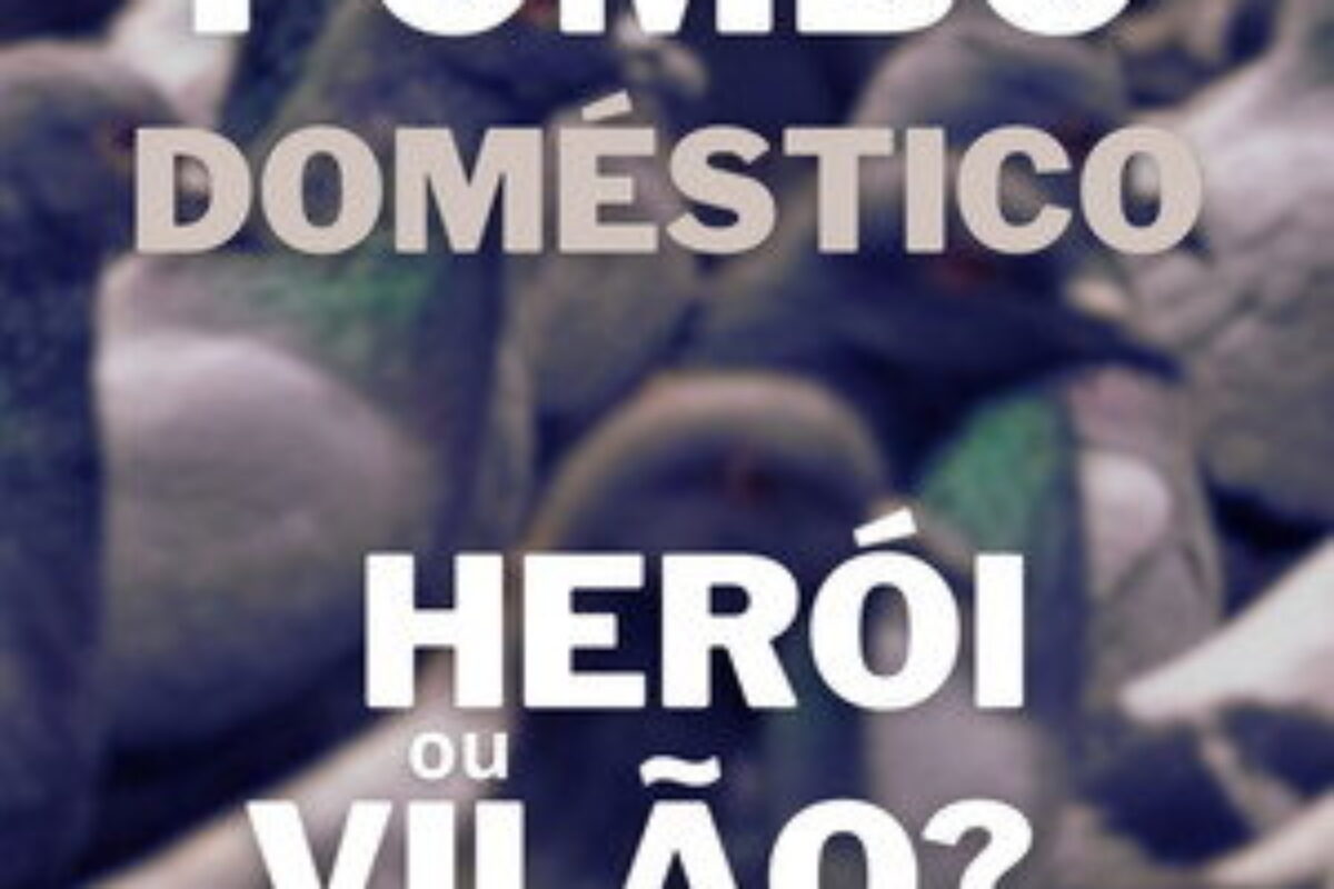 Pombo Doméstico: Herói ou Vilão? (2020) — poster oficial