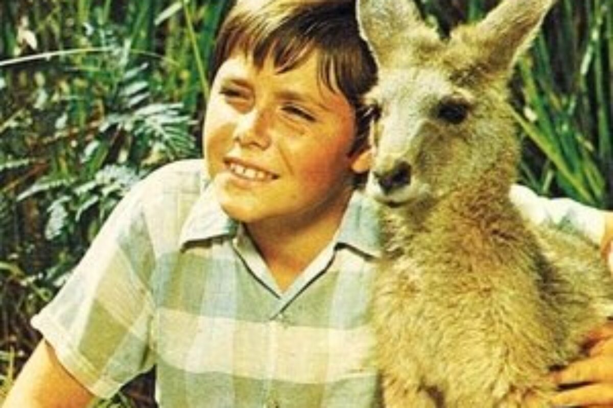 Skippy the Bush Kangaroo (1968) — poster oficial