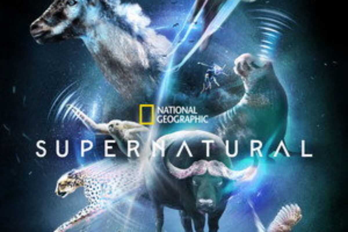 Super Natural (2022) — poster oficial