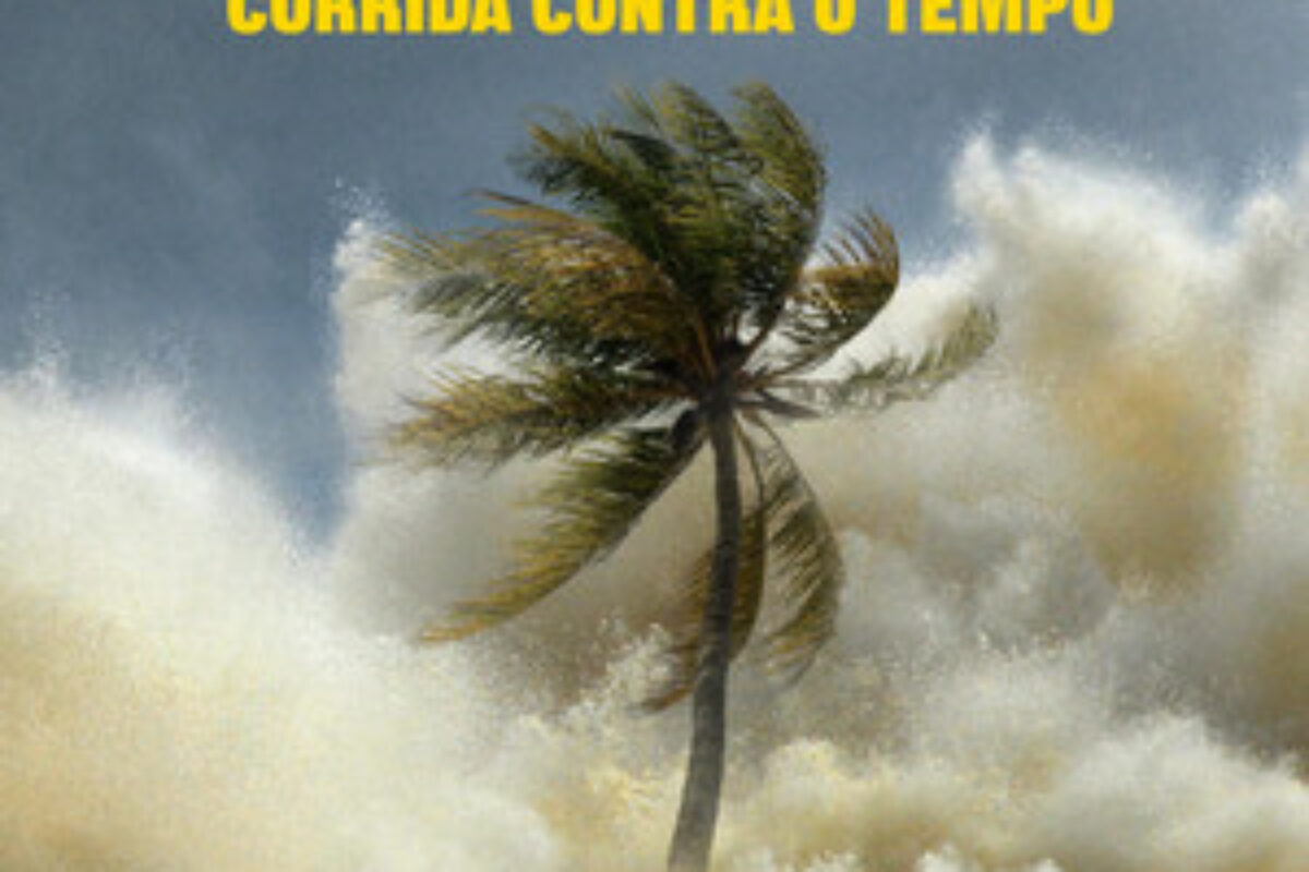 Tsunami: Corrida Contra o Tempo (2024) — poster oficial
