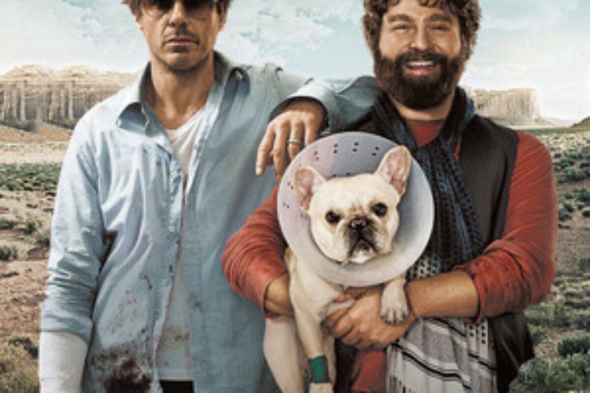 Um Parto de Viagem (2010) — poster oficial