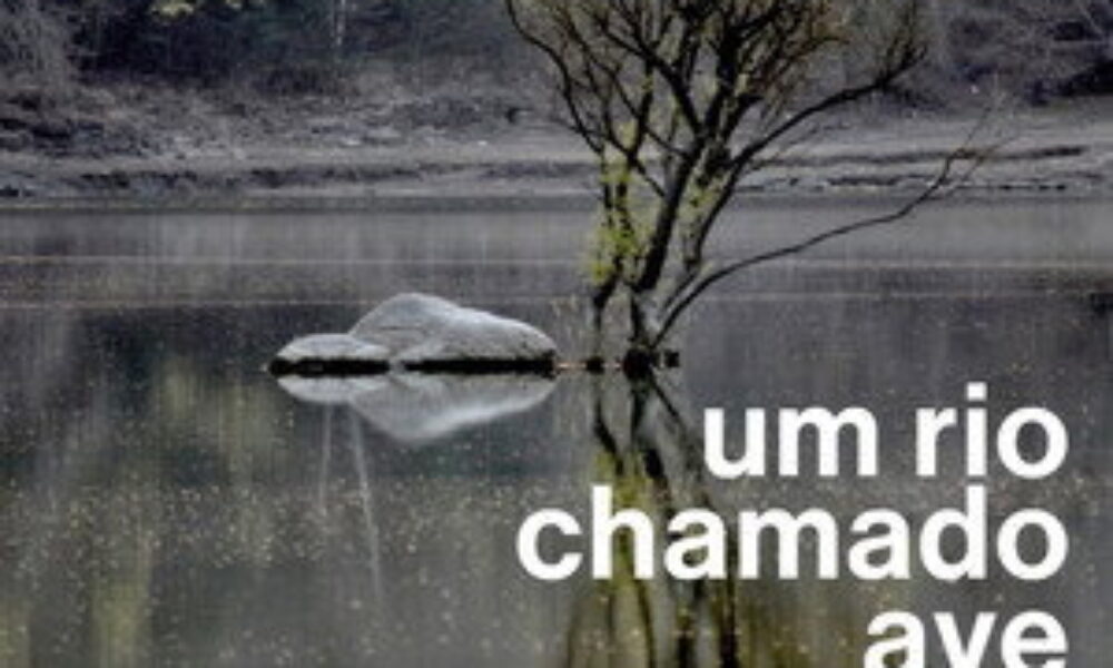 Um Rio Chamado Ave (2012) — poster oficial