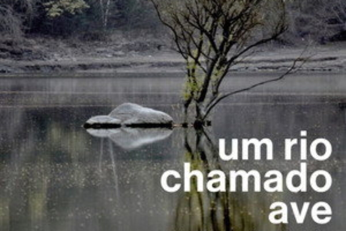 Um Rio Chamado Ave (2012) — poster oficial