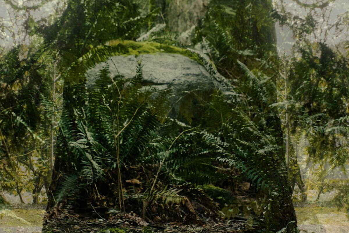 Vertical Remains (2026) — poster oficial